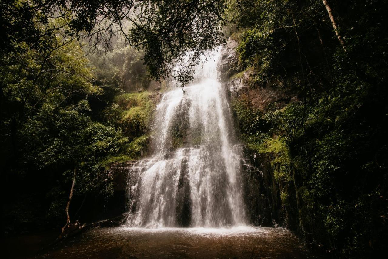 Mount Sheba Rainforest Hotel & Resort Pilgrim's Rest Exterior photo